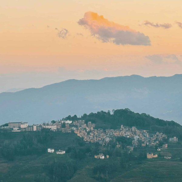 How can you enjoy a bargain hunt in London's Portobello Road Market?